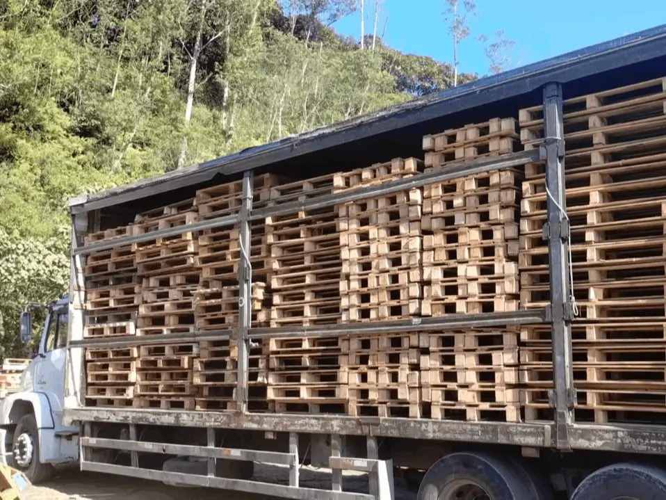 Galeria | C.S Pallet